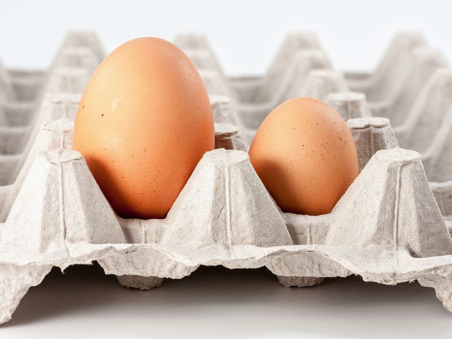 Honest Eggs - Close to 70% of our eggs are 800g or bigger